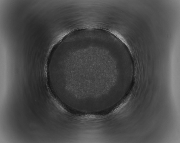 X0000087020581200704161603