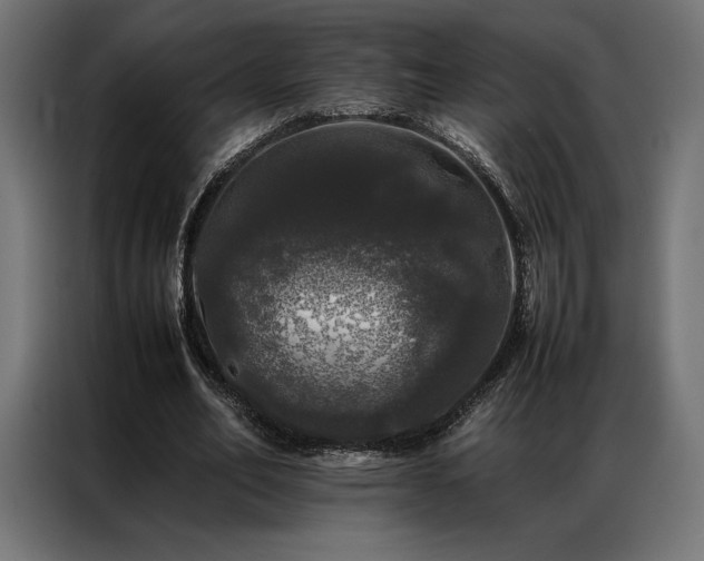 X0000087020582200704161603