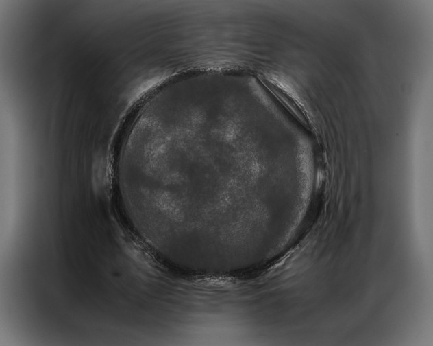 X0000087020583200704161602