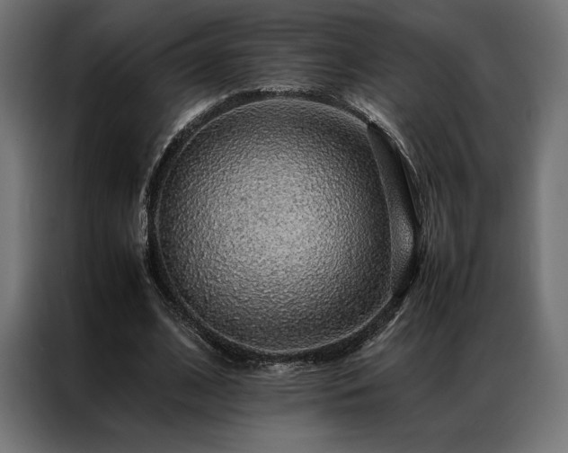 X0000087020584200704161602