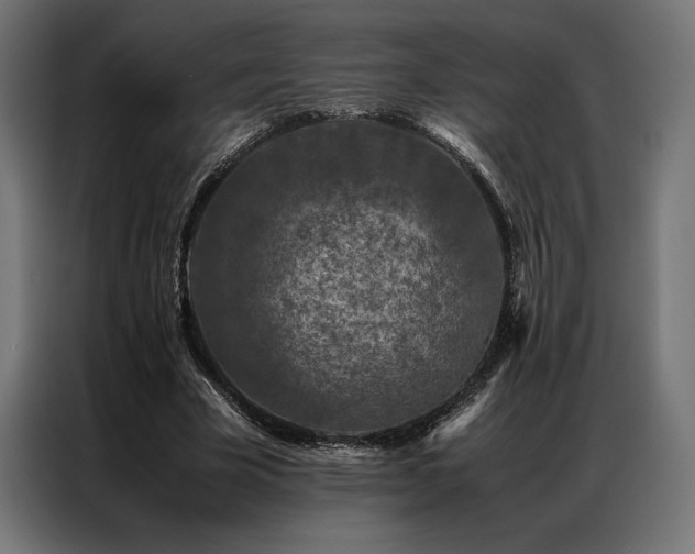 X0000087020585200704161602
