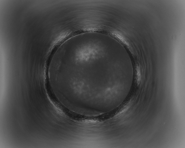 X0000087020586200704161602