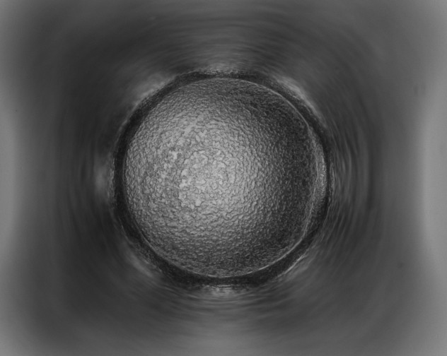 X0000087020588200704161602