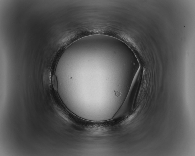 X0000087020589200704161602