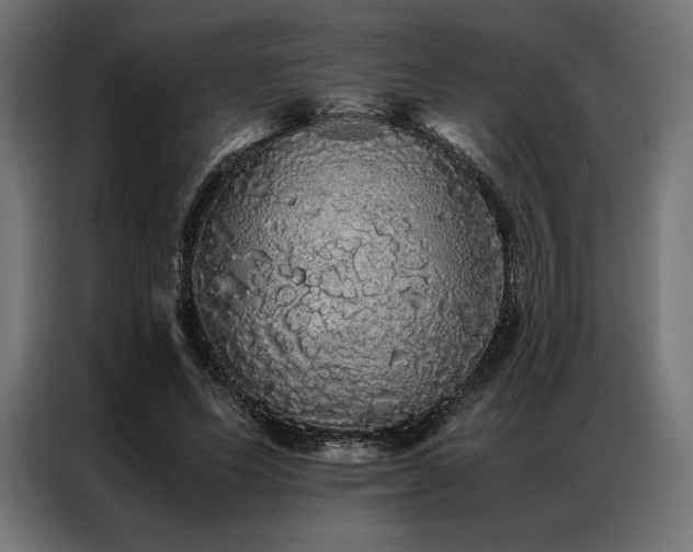 X0000087020591200704161602