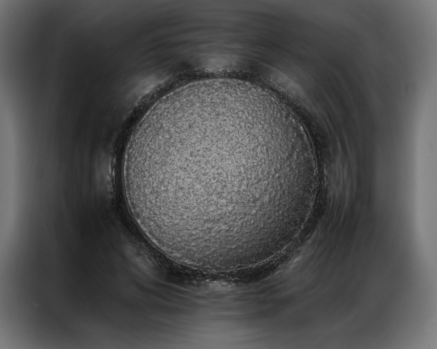 X0000087020592200704161602