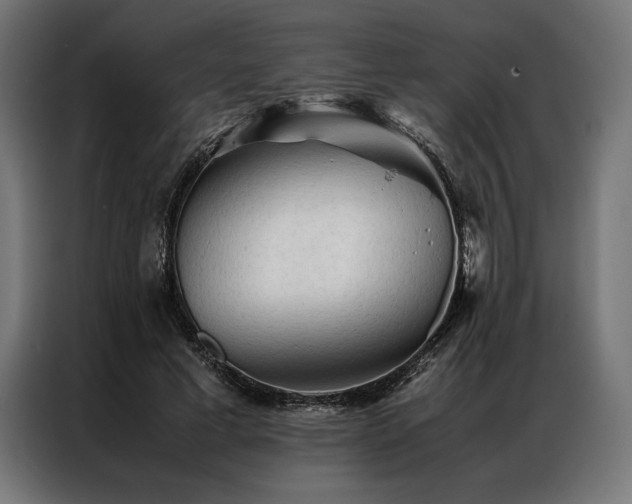 X0000087020593200704161602