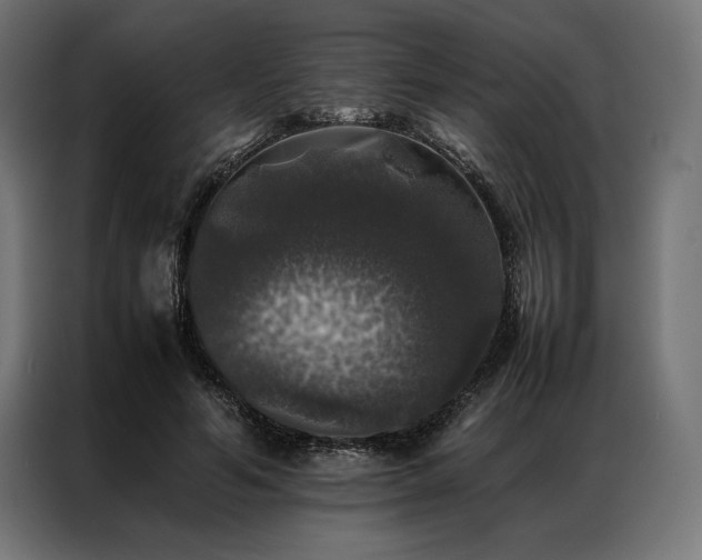 X0000087020594200704161602