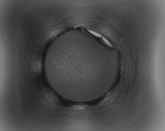 X0000087020595200704161602