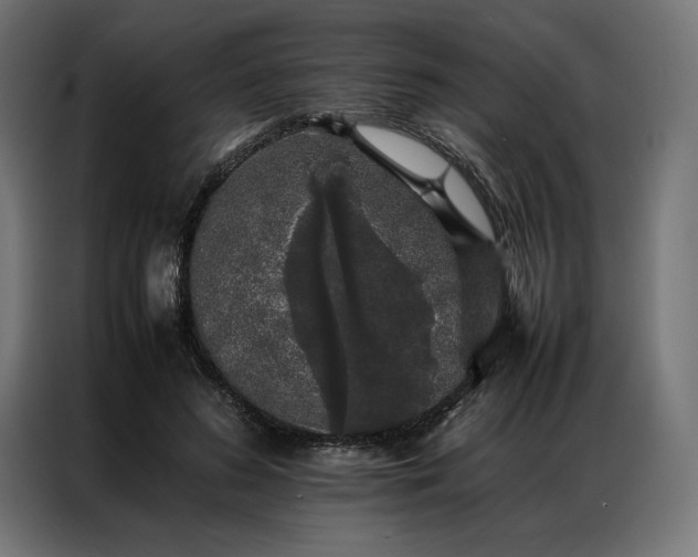 X0000087020596200704161602
