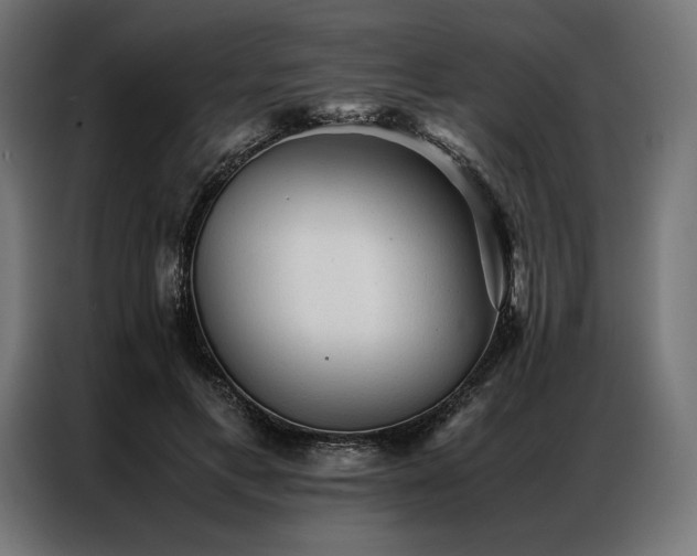 X0000087020597200704161602