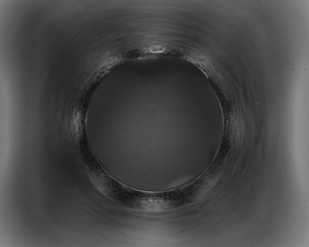 X0000087020598200704161602