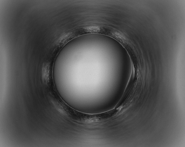 X0000087020600200704161602