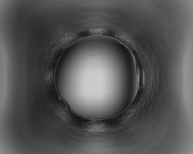 X0000087020601200704161602