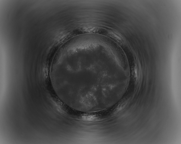 X0000087020602200704161602