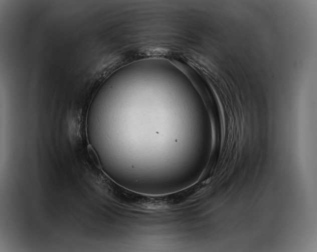 X0000087020604200704161602