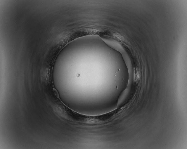 X0000087020605200704161602