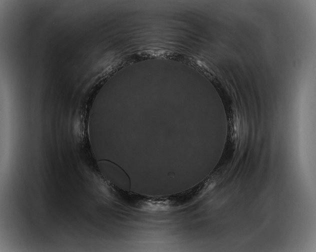 X0000087020606200704161602