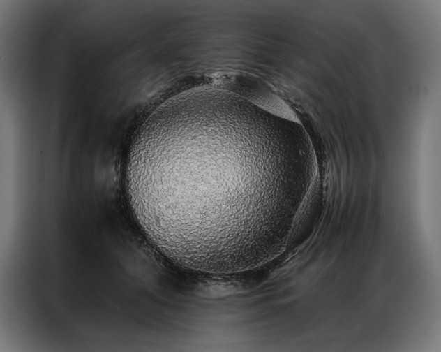 X0000087020608200704161602
