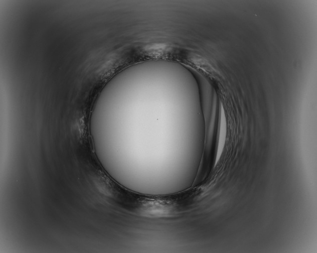 X0000087020611200704161602