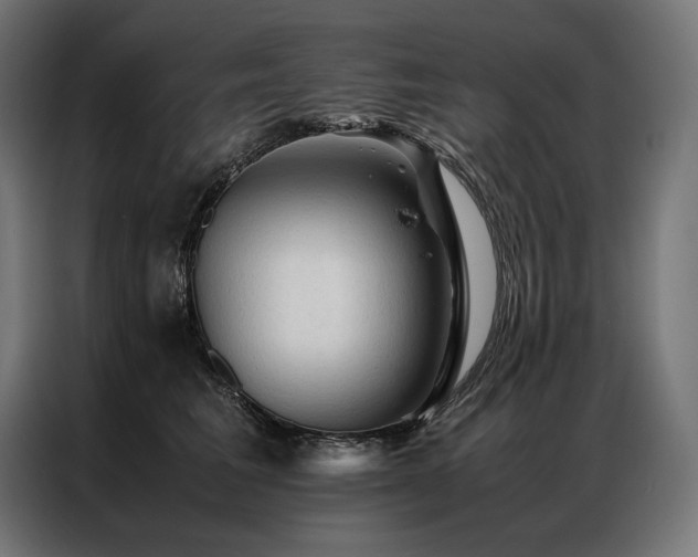 X0000087020613200704161602