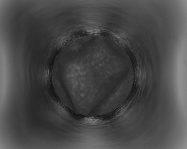 X0000087020614200704161602