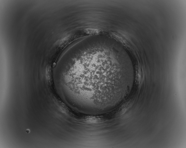 X0000087020616200704161602