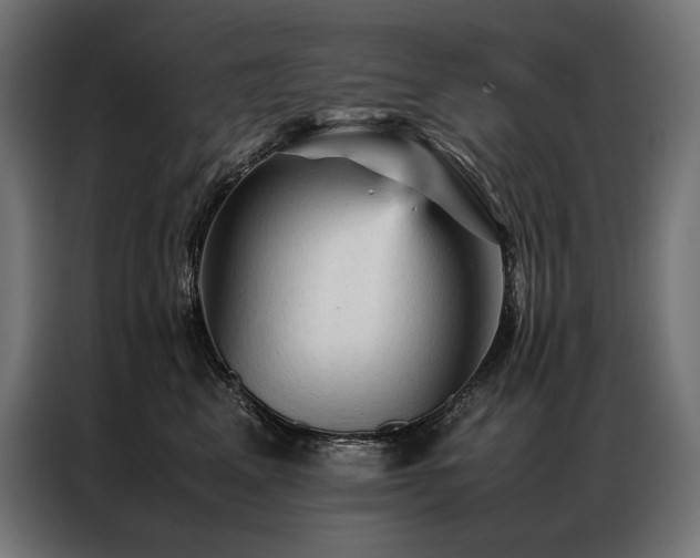 X0000087020617200704161602