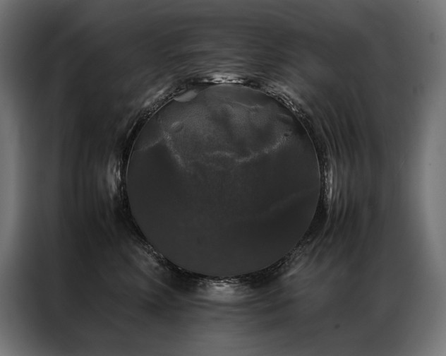 X0000087020618200704161602