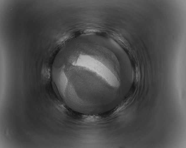 X0000087020621200704161602