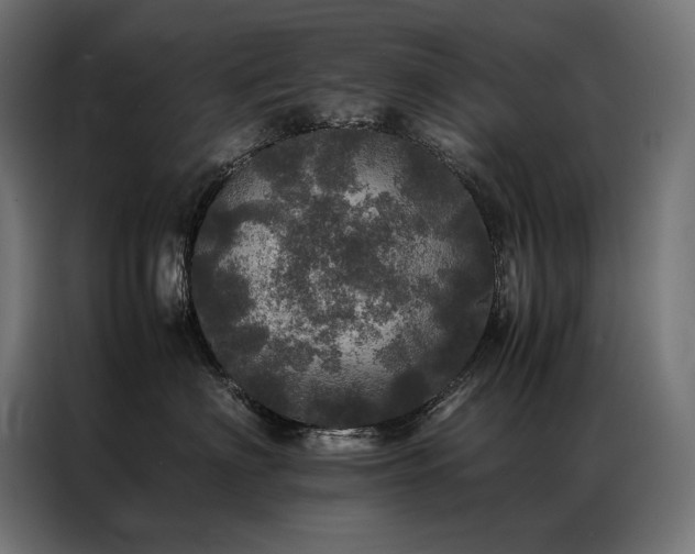 X0000087020622200704161602