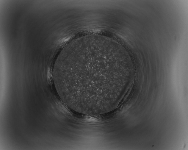 X0000087020624200704161602