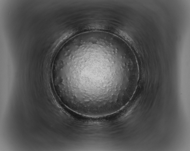 X0000087020625200704161601