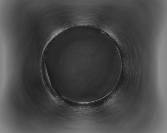 X0000087020626200704161601