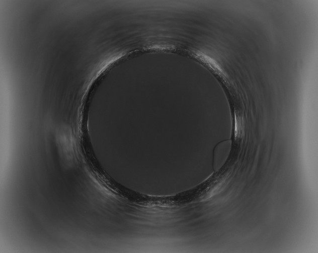 X0000087020627200704161601