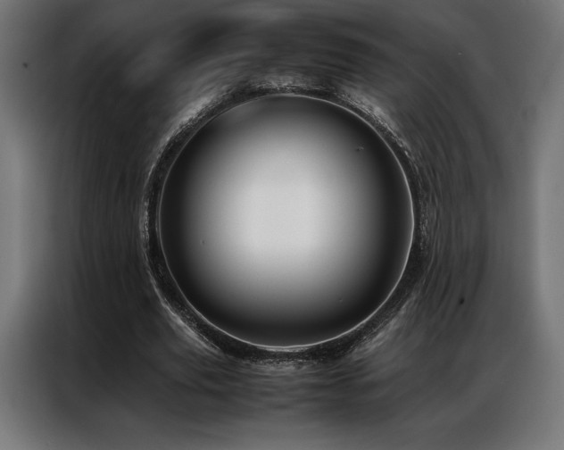 X0000087020629200704161602