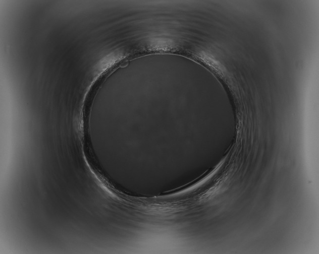 X0000087020630200704161602