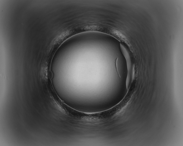 X0000087020633200704161602