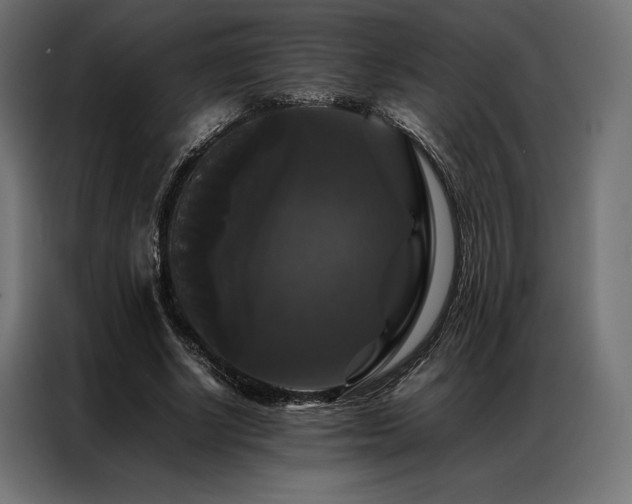 X0000087020634200704161602