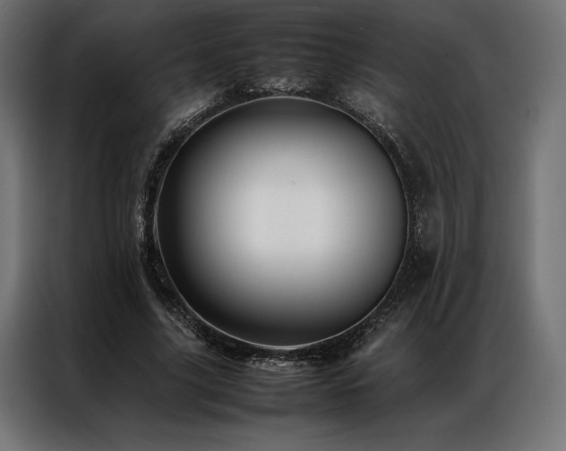 X0000087020635200704161602