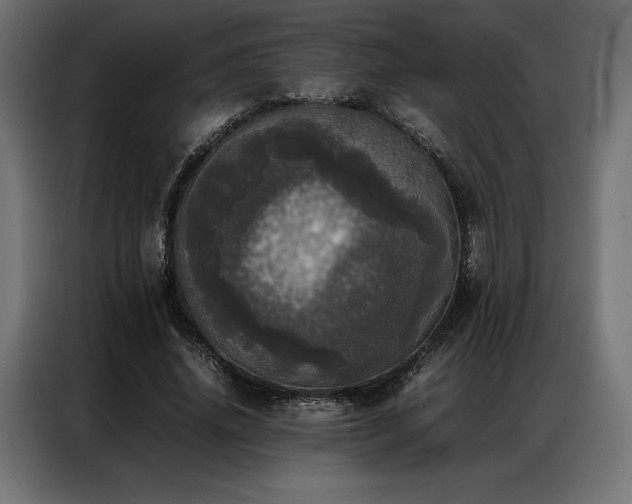 X0000087020636200704161602