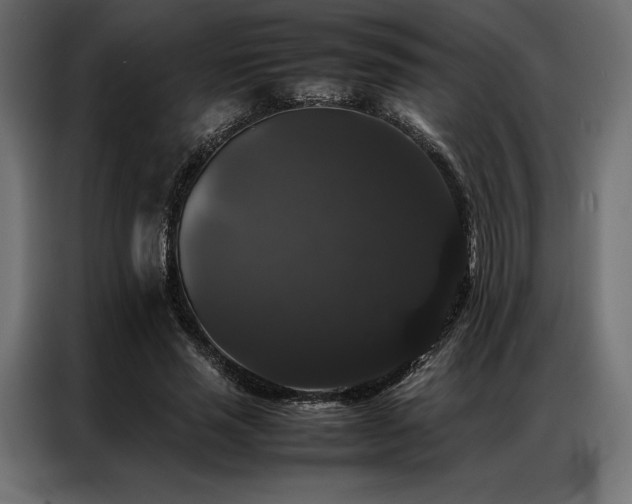 X0000087020637200704161602