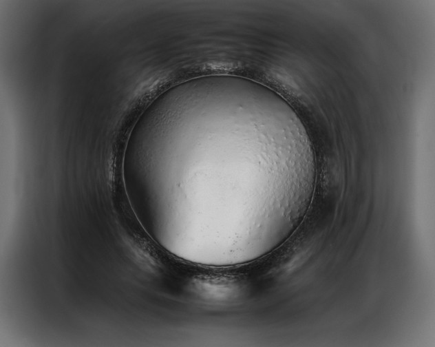 X0000087020639200704161602