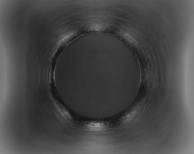 X0000087020640200704161602