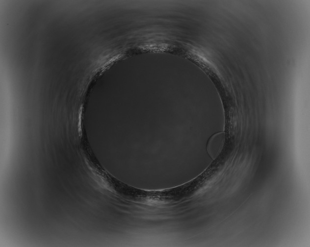 X0000087020641200704161602