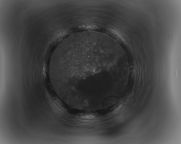 X0000087020643200704161602