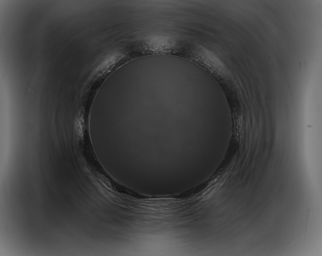 X0000087020644200704161602