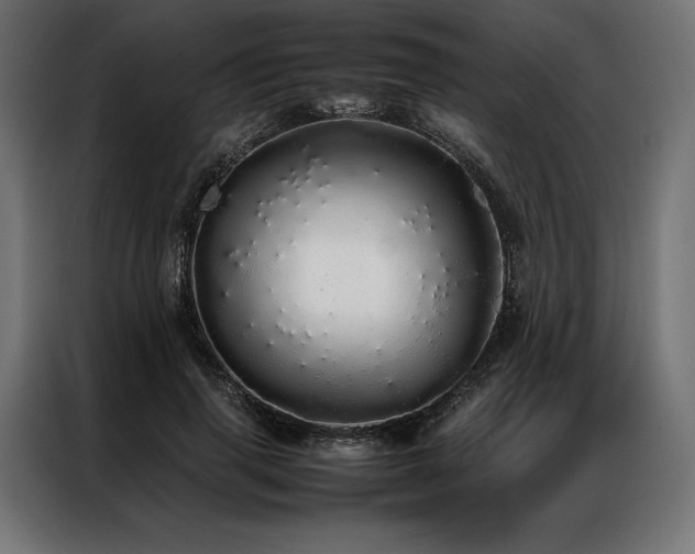 X0000087020645200704161602