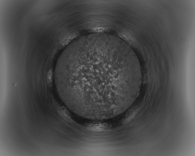X0000087020646200704161602