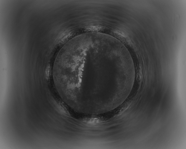 X0000087020647200704161602